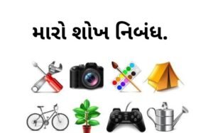 મારો શોખ નિબંધ.2022 My Hobby Essay