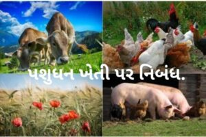 પશુધન ખેતી પર નિબંધ.2022 essay on livestock farming