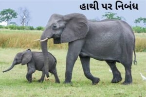 હાથી પર નિબંધ.2022 Essay on Elephant