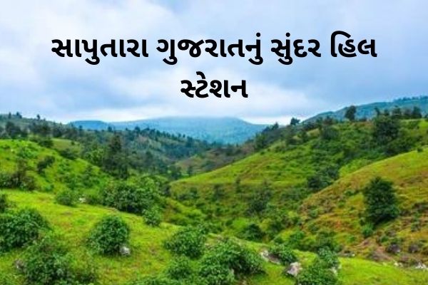 ગુજરાતનું સુંદર હિલ સ્ટેશન