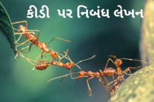 કીડી પર નિબંધ લેખન.2022 Essay Writing on THE ANT