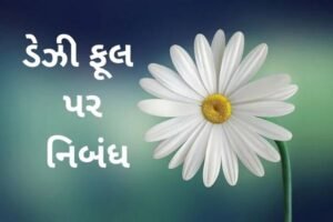 ડેઝી ફૂલ પર નિબંધ .2022 essay on daisy flower