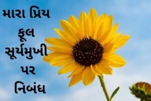 essay on my favourite flower sunflower મારા પ્રિય ફૂલ સૂર્યમુખી પર નિબંધ.: