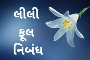 લીલી ફૂલ નિબંધ.2022 lily flower essay