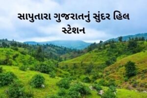 સાપુતારા ગુજરાતનું સુંદર હિલ સ્ટેશન.2022 saputara aBeautiful hill station in Gujarat