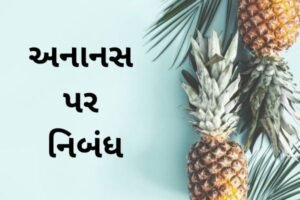 અનાનસ પર નિબંધ.2022 Essay on Pineapple