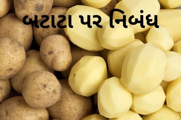 પર નિબંધ