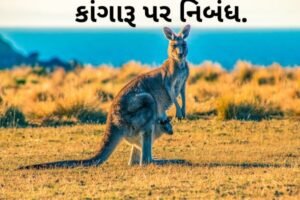 કાંગારૂ પર નિબંધ.2022 Essay on Kangaroos