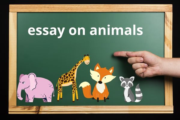 essay on animals.2022 (23)Amazing Things to Know About Animals