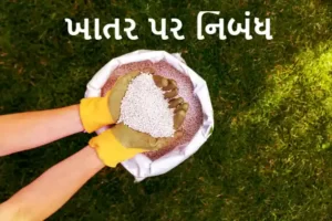 ખાતર પર નિબંધ.2023 Essay on Fertilizer