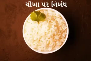 ચોખા પર નિબંધ.2022 Essay on rice